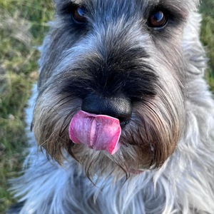 Fundraising Page: Nicole Riggi